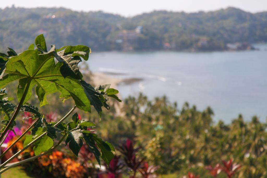 Hôtel Casa Los Arcos à Sayulita Extérieur photo